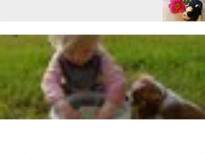 me-and-my.dk snapshot