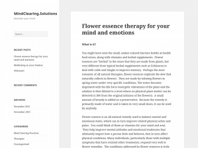 mindclearing.solutions snapshot