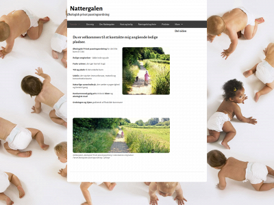 nattergalenpasningsordning.dk snapshot
