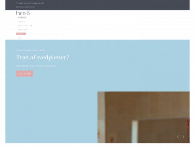 twob.dk snapshot