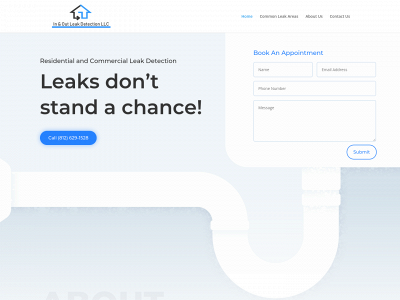 inandoutleakdetect.com snapshot
