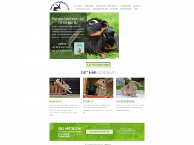 skvf.se snapshot