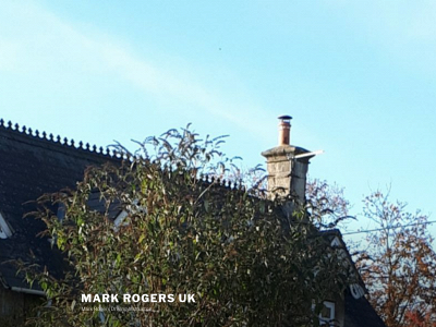 markrogersuk.co.uk snapshot