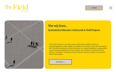 thefieldinstitute.nl snapshot