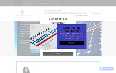 www.bacchusinsurancegroup.com snapshot