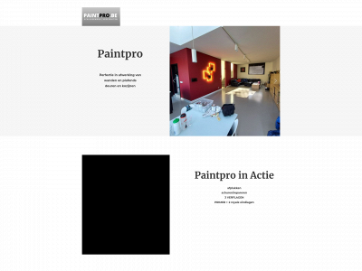 paintpro.be snapshot