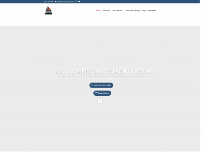bleachspotfix.com snapshot