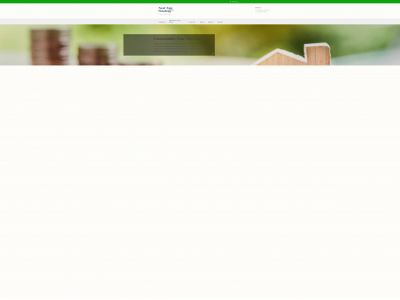 nesteggstrategy.com snapshot