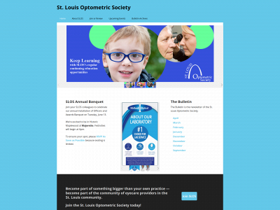 stlouisoptometricsociety.org snapshot
