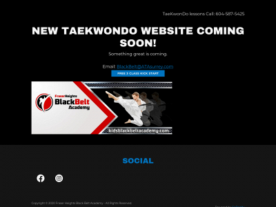www.kidsblackbeltacademy.com snapshot