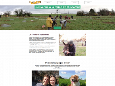 escafene.be snapshot