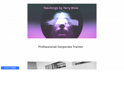 terryblow.weebly.com snapshot