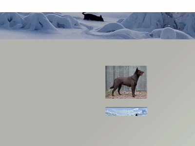 keskitalolennart.se snapshot