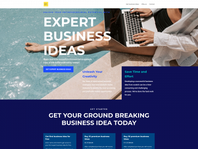 expertbusinessideas.com snapshot