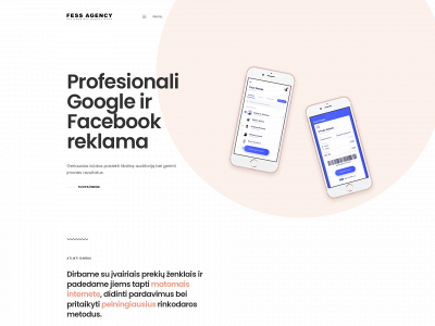 fessagency.lt snapshot