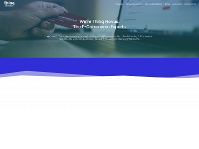 thinqnovus.com snapshot