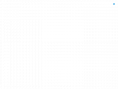 thebeachlauncher.com snapshot