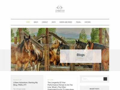 cowgirl-grit.com snapshot