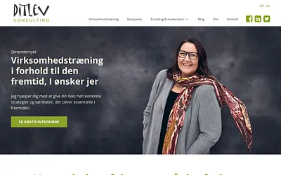 ditlev-consulting.dk snapshot