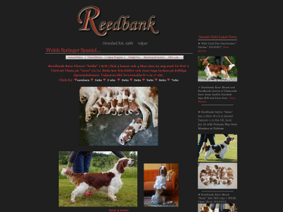 reedbank.se snapshot