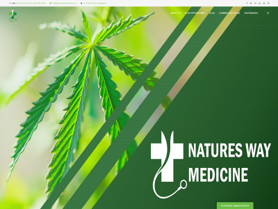 natureswaymedicine.com snapshot