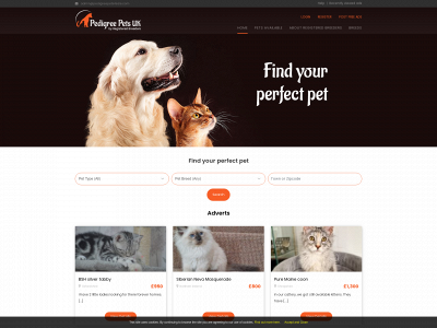 pedigreepets4sale.com snapshot