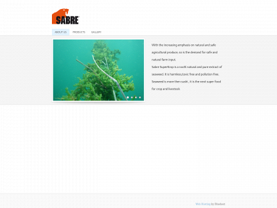 gillsfins.com snapshot
