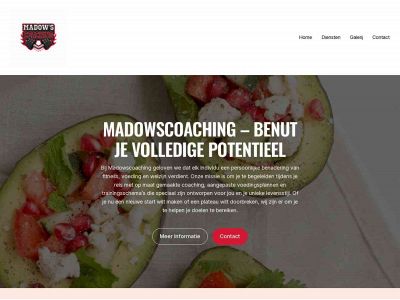 madowscoaching.com snapshot