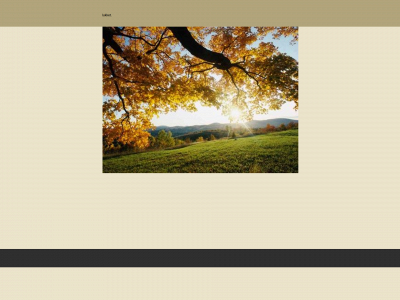 lillebjerregaard.dk snapshot