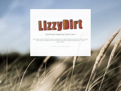 lizzydirt.com snapshot