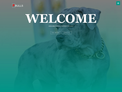 ryansexoticpitbullpuppies.com snapshot