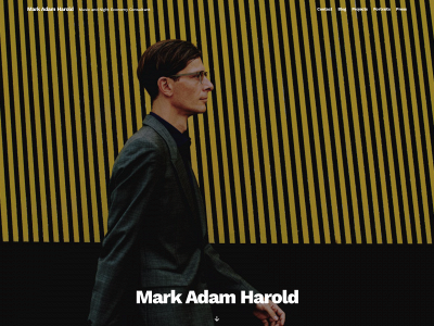 markadamharold.com snapshot