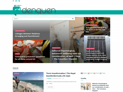 denquen.com snapshot