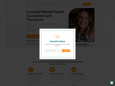 lifespringhouston.com snapshot