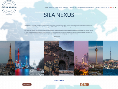 silanexus.com snapshot