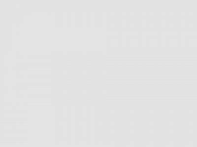 rioteerrecords.com snapshot