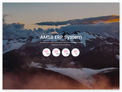 amsb-erp.com snapshot