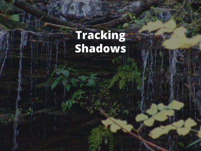 trackingshadows.com snapshot
