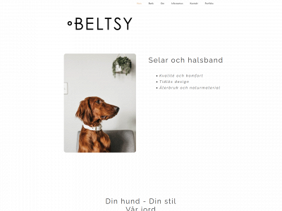beltsy.se snapshot