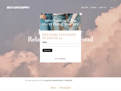 selflovesupply.com snapshot