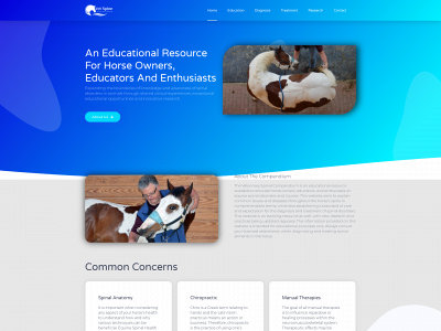 vetspine.org snapshot