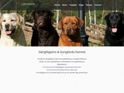 songbirdskennel.com snapshot