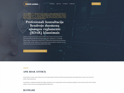 bdaratitiktis.lt snapshot