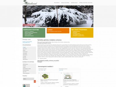 audrone.serveriai.lt snapshot