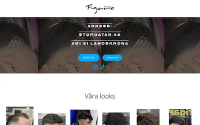 salong-figaro.se snapshot