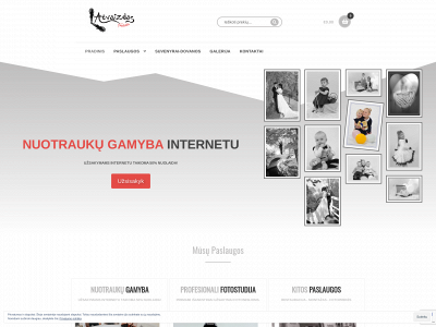 fotostudijaatvaizdas.lt snapshot
