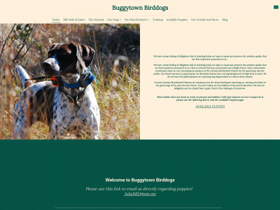 buggytownbirddogs.com snapshot