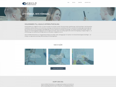 aql.se snapshot