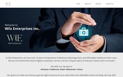 wilzenterprises.com snapshot