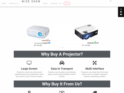 wisegrp.net snapshot
